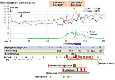 Case Report: Successful Treatment With Anti-C5 Monoclonal Antibody in a Japanese Adolescent Who Developed Thrombotic Microangiopathy After Autologous Bone Marrow Transplantation for Malignant Lymphoma